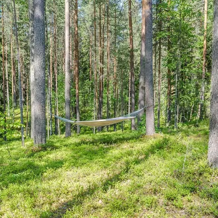 Pyoeroepirtti By Interhome Ferienhaus